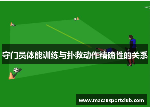 守门员体能训练与扑救动作精确性的关系